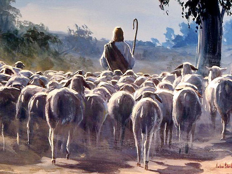 Liturgie du dimanche 11 mai 2025: 4e dimanche de Pâques