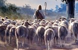 Liturgie du dimanche 11 mai 2025: 4e dimanche de Pâques