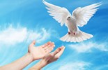 Liturgie du mardi 27 mai 2025: 6e semaine de Pâques