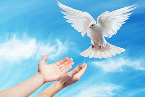Liturgie du mardi 27 mai 2025: 6e semaine de Pâques