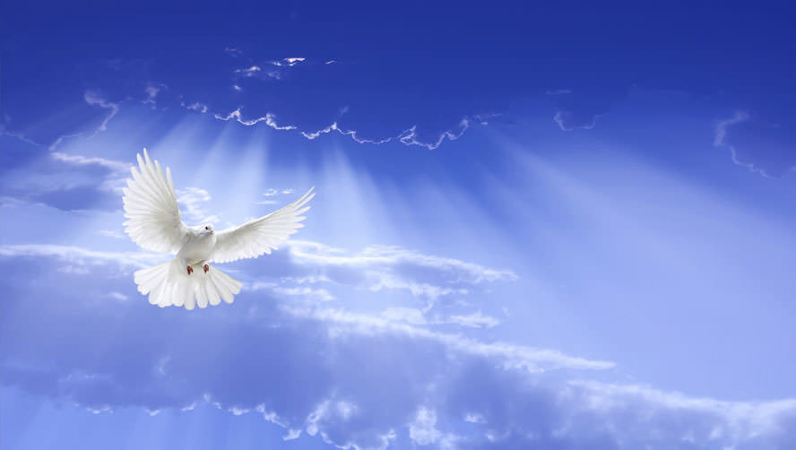 Liturgie du mercredi 28 mai 2025: 6e semaine de Pâques
