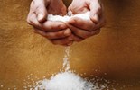 Liturgie du mardi 10 juin 2025: 10e semaine du temps ordinaire