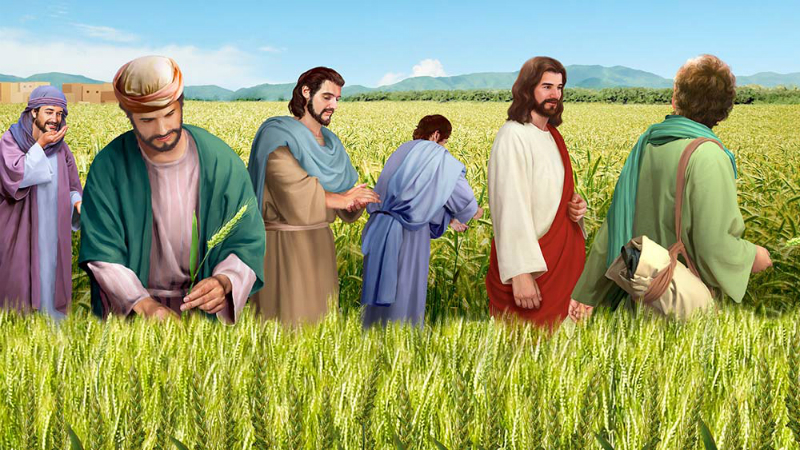 Liturgie du vendredi 18 juillet 2025: 15e semaine du temps ordinaire