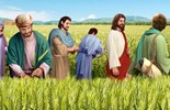 Liturgie du vendredi 18 juillet 2025: 15e semaine du temps ordinaire