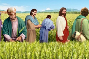 Liturgie du vendredi 18 juillet 2025: 15e semaine du temps ordinaire