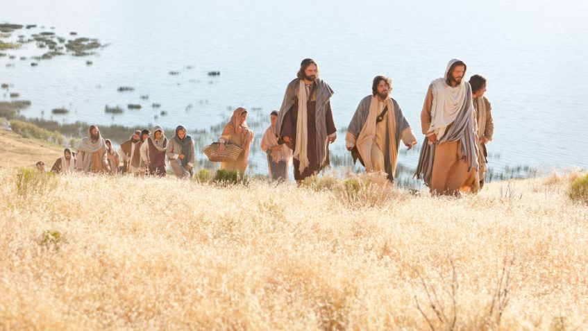 Liturgie du dimanche 6 juillet 2025: 14e dimanche du temps ordinaire
