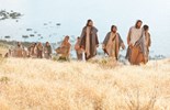 Liturgie du dimanche 6 juillet 2025: 14e dimanche du temps ordinaire