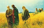 Liturgie du mardi 8 juillet 2025: 14e semaine du temps ordinaire