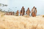 Liturgie du mercredi 9 juillet 2025: 14e semaine du temps ordinaire