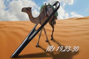 Liturgie du mardi 19 août 2025: 20e semaine du temps ordinaire