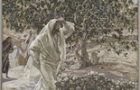 Liturgie du samedi 13 septembre 2025: 23e semaine du temps ordinaire