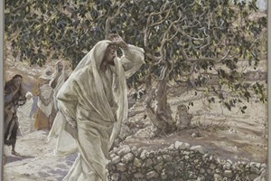 Liturgie du samedi 13 septembre 2025: 23e semaine du temps ordinaire