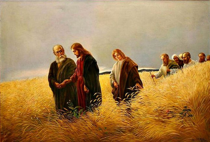 Liturgie du samedi 6 septembre 2025: 22e semaine du temps ordinaire