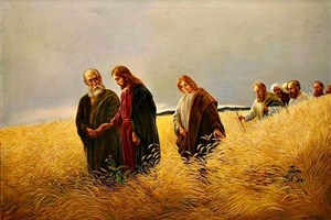Liturgie du samedi 6 septembre 2025: 22e semaine du temps ordinaire